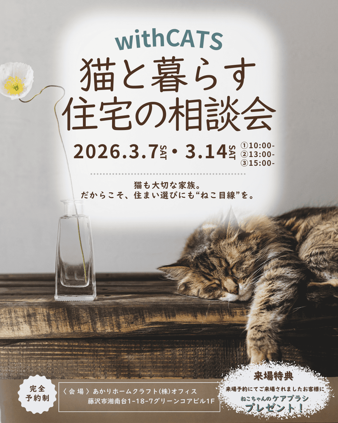 3月 ）withCATS猫と暮らす住宅の相談会＠あかりホームクラフト