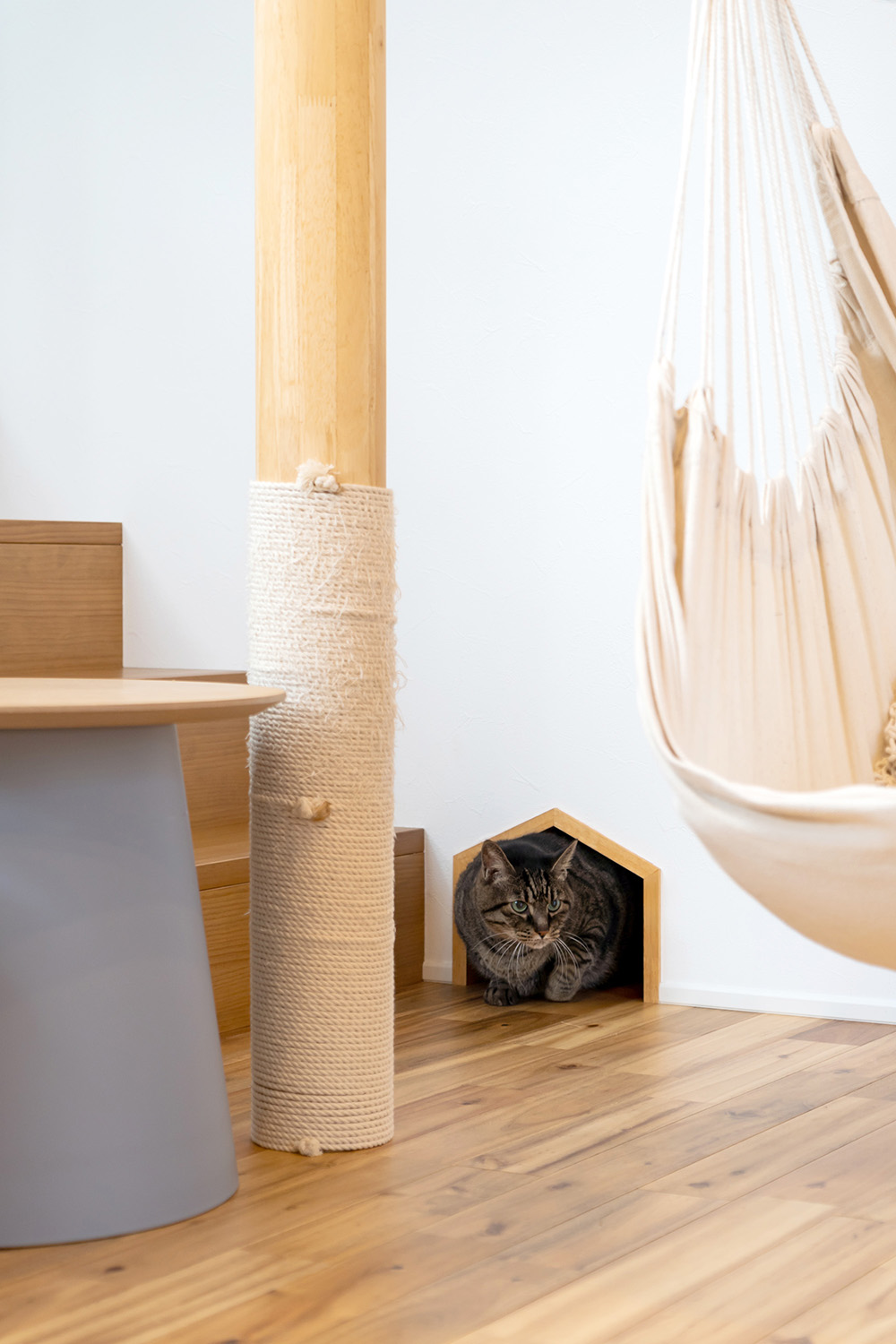 くすみブルーの猫と暮らす家