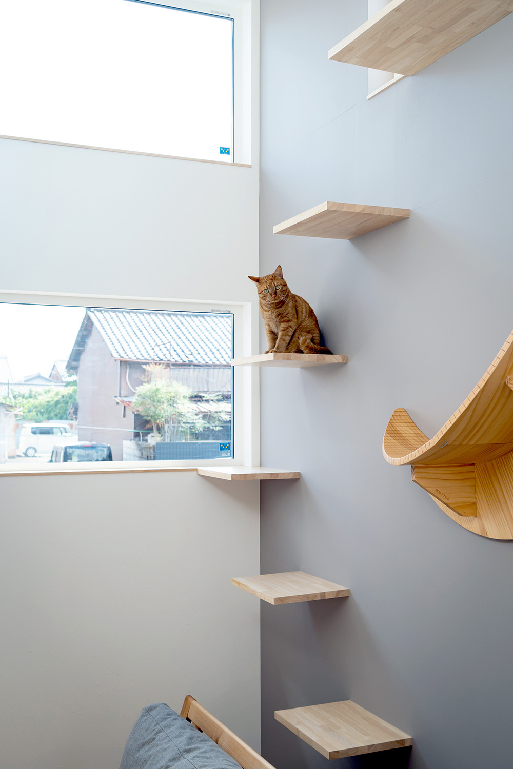くすみブルーの猫と暮らす家