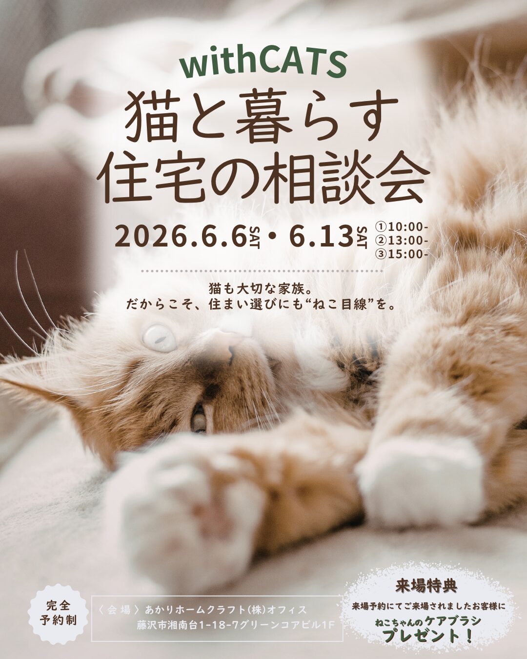 6月 ）withCATS 猫と暮らす住宅の相談会＠あかりホームクラフト