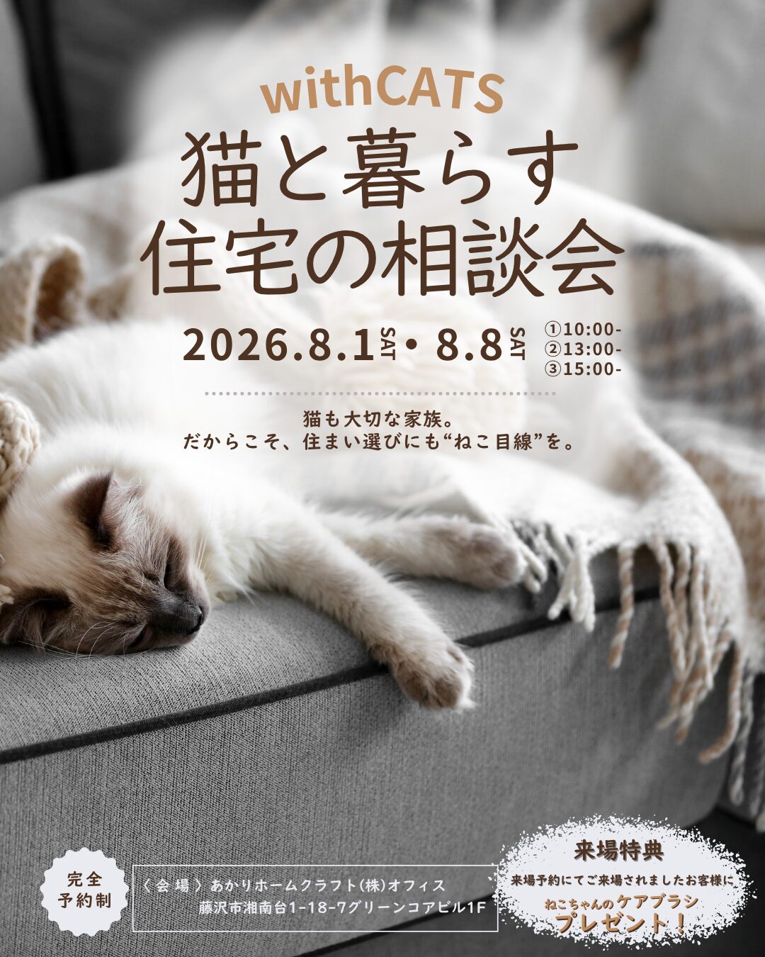 8月 ）withCATS 猫と暮らす住宅の相談会＠あかりホームクラフト