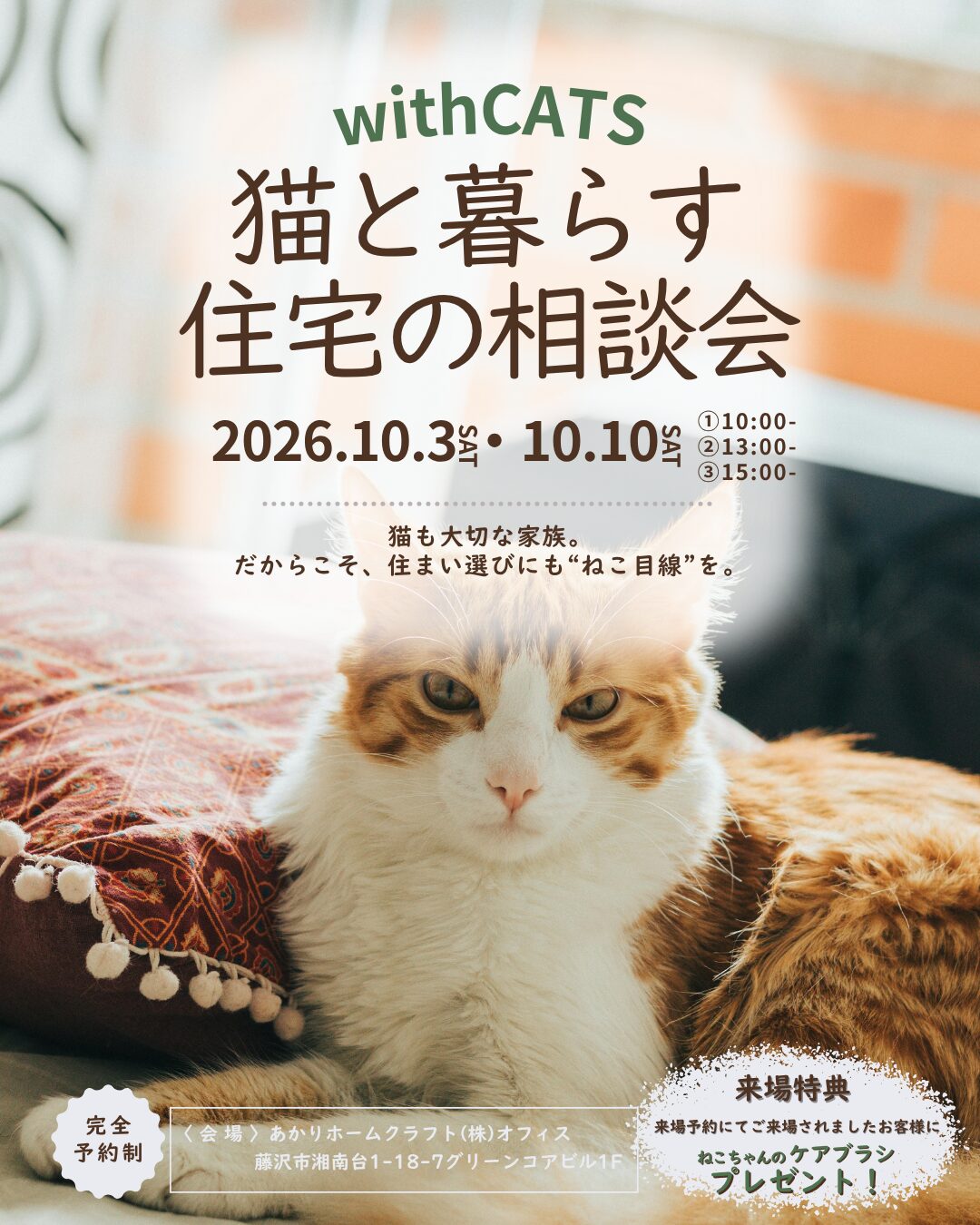 10月 ）withCATS 猫と暮らす住宅の相談会＠あかりホームクラフト