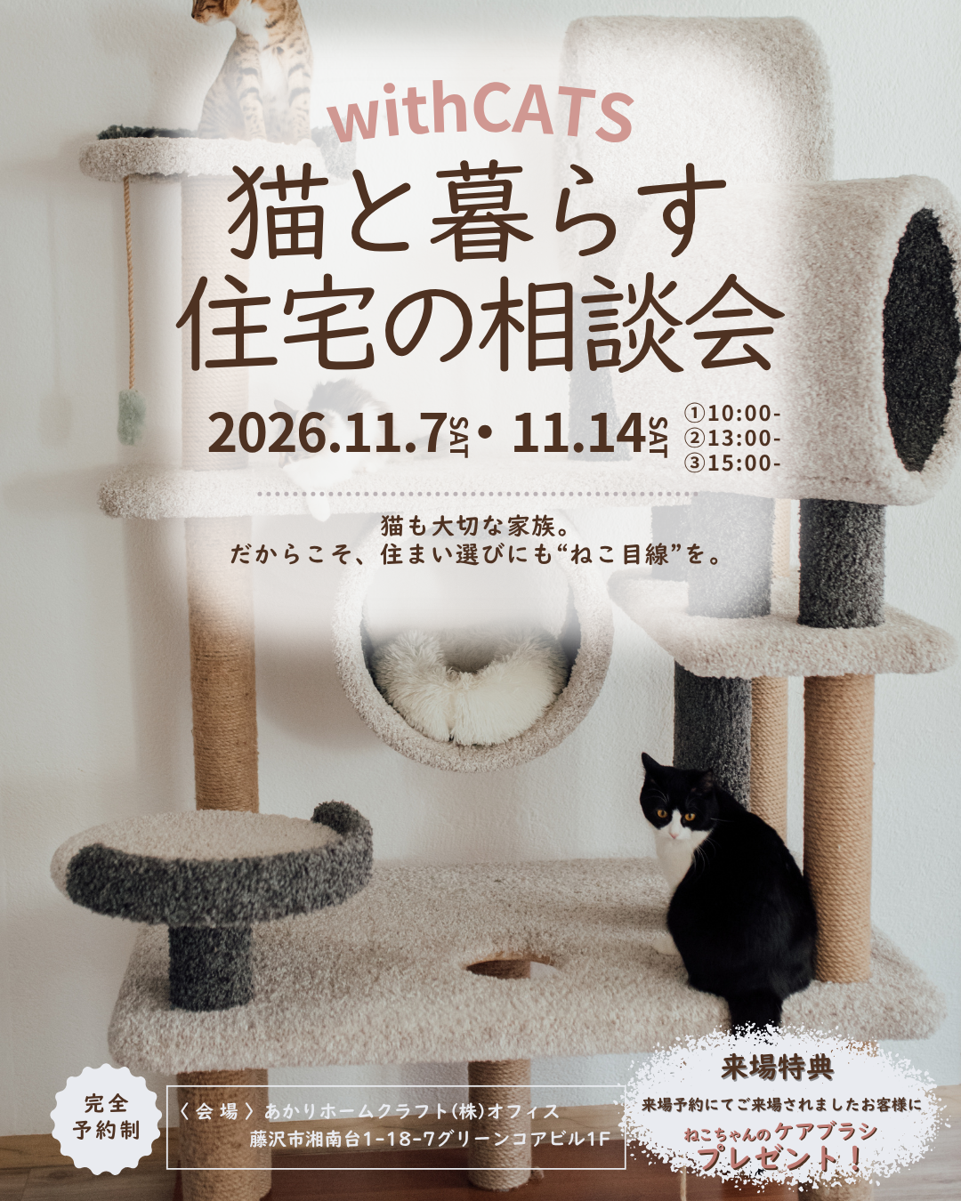 11月 ）withCATS 猫と暮らす住宅の相談会＠あかりホームクラフト