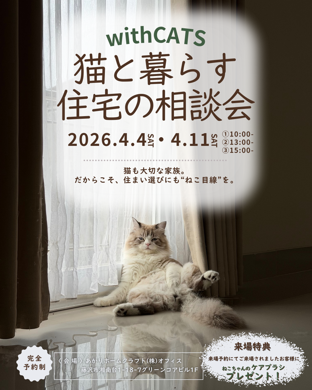 4月 ）withCATS猫と暮らす住宅の相談会＠あかりホームクラフト